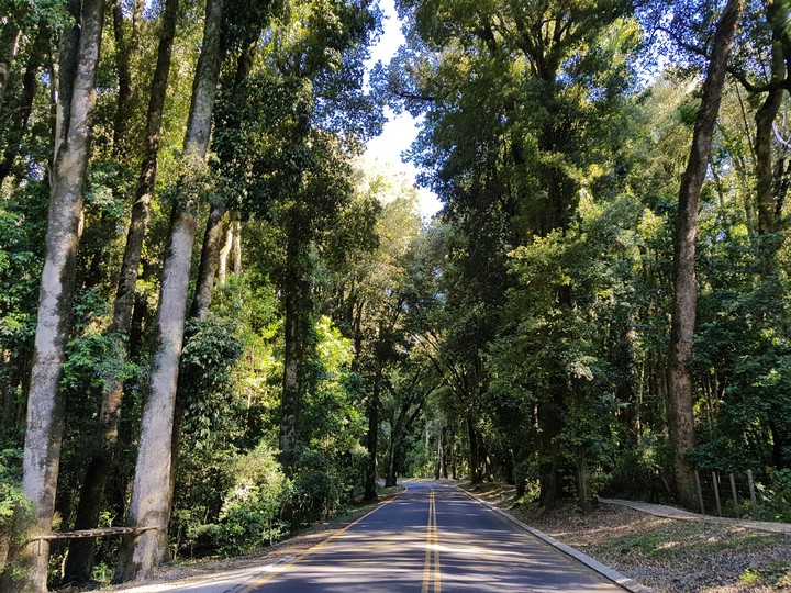 Destino en el camino