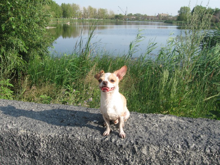 марти
