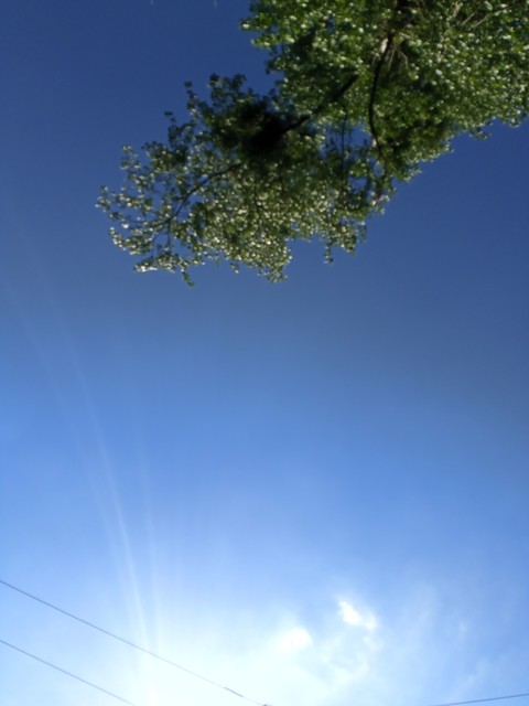 summer