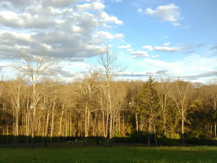 Sunny afternoon
