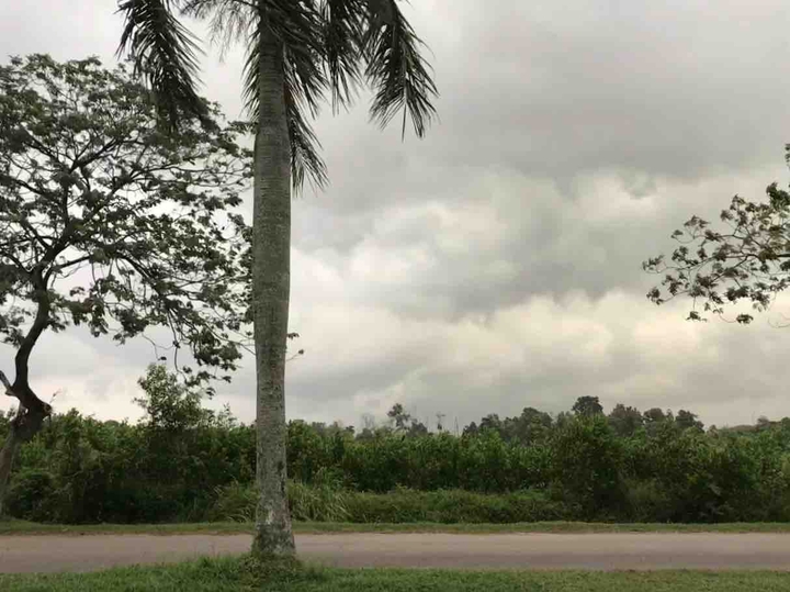 Weather’s