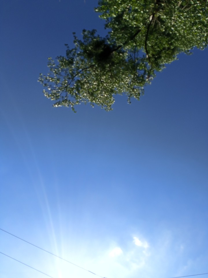 summer