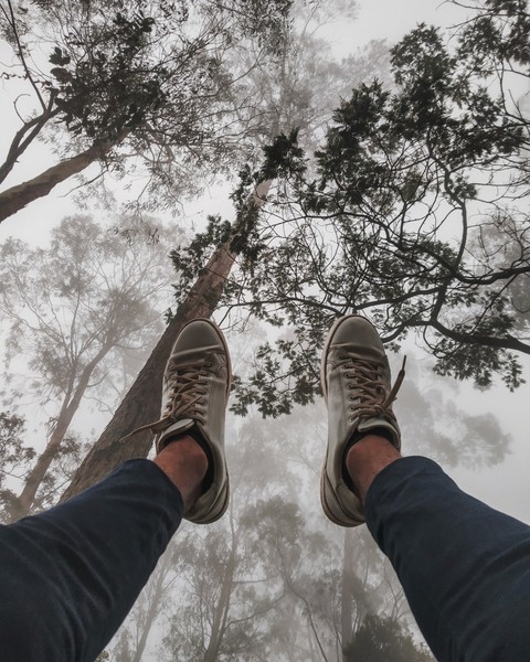 up and down