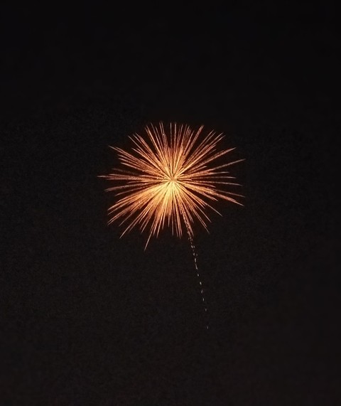 festival
