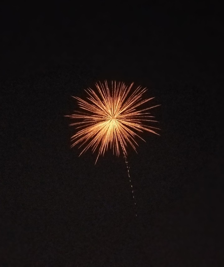 festival