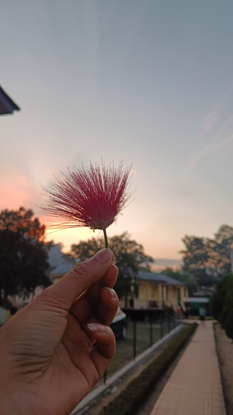 red, happiness वॉलपेपर