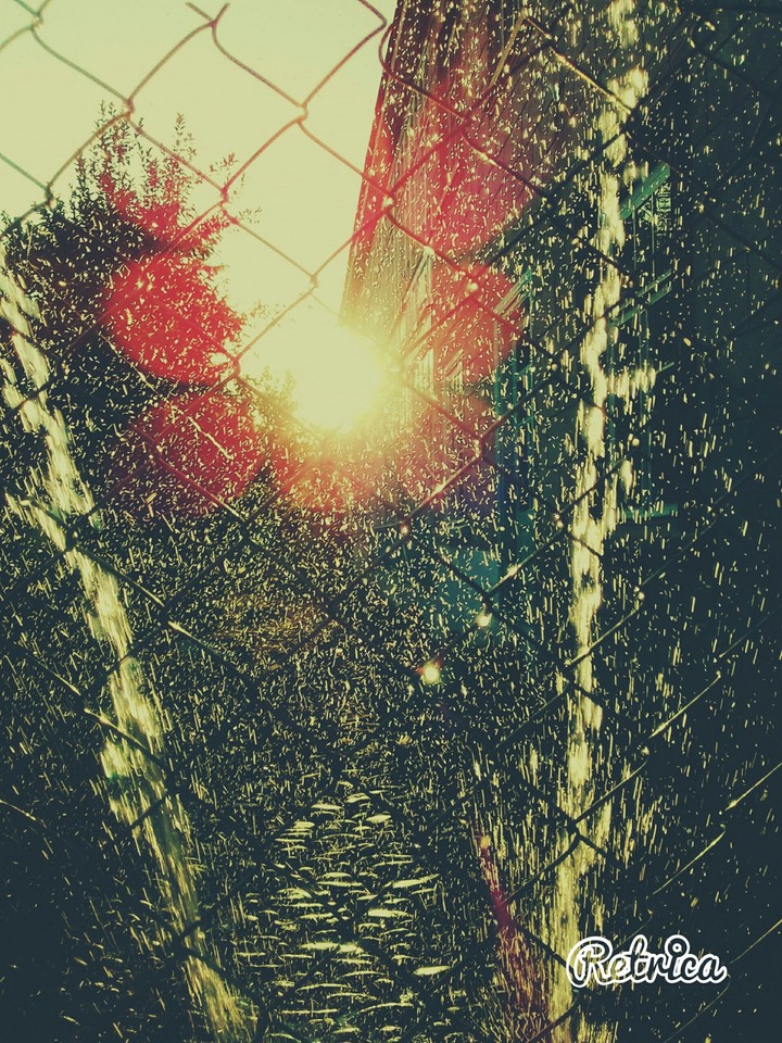 sunshine