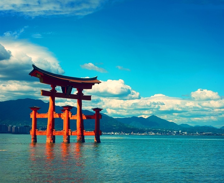 미야지 마오