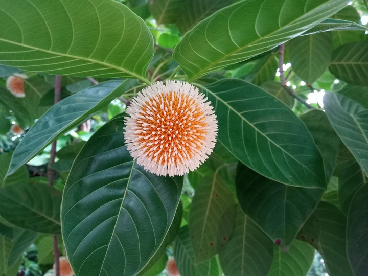 The beauty of nature