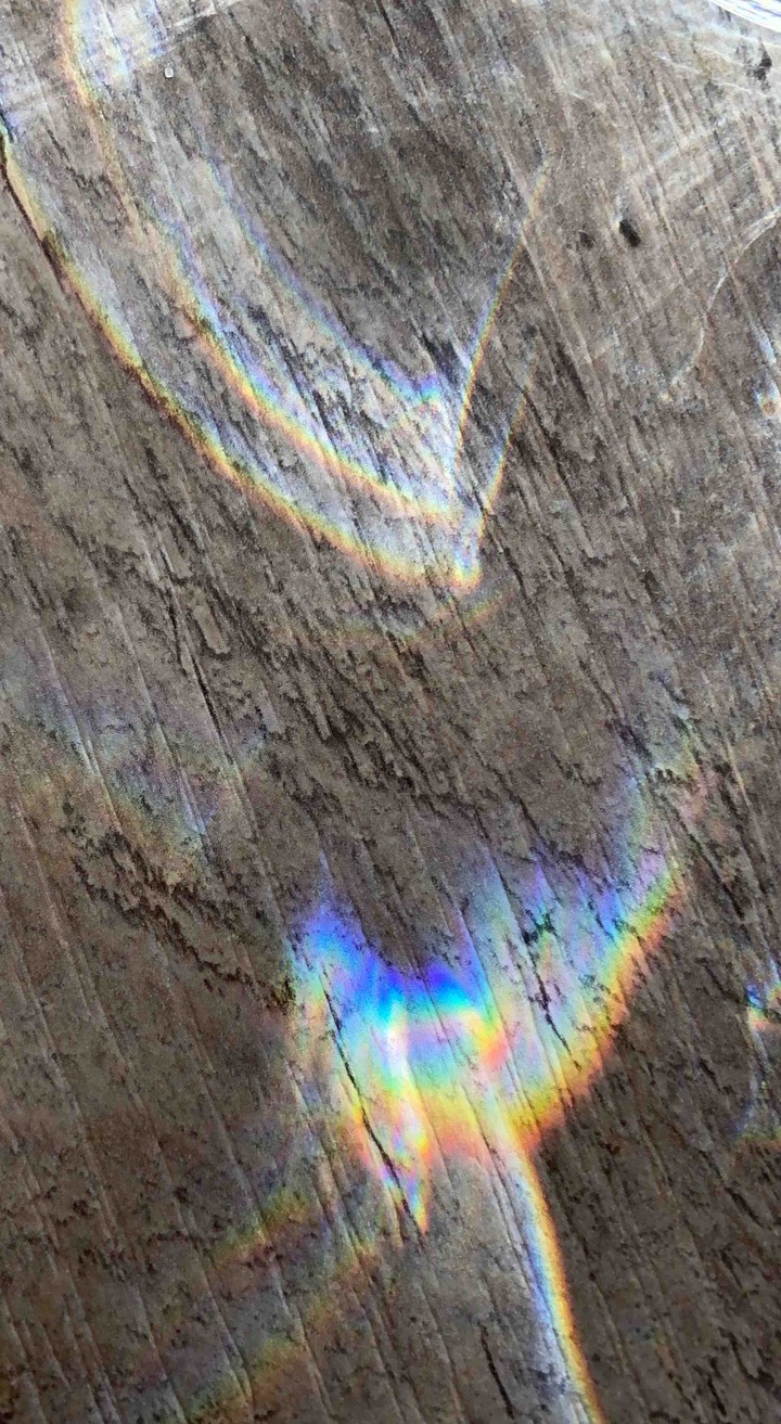 Rainbowood