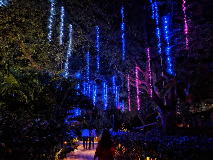 Night Lights