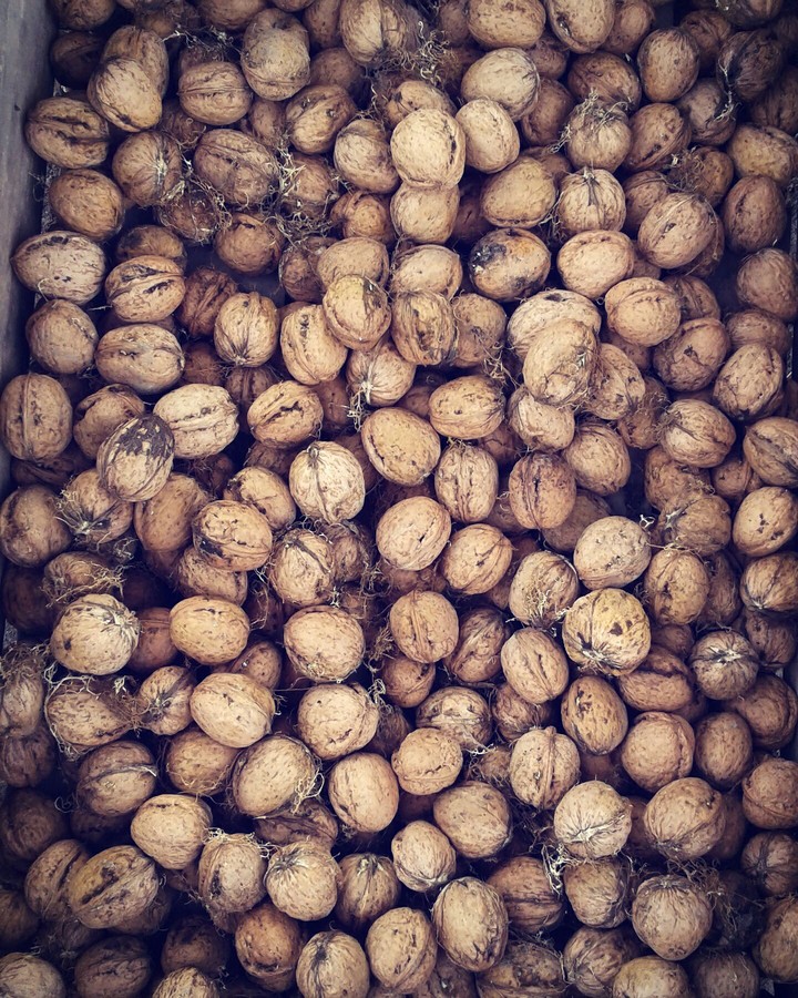 Nuts