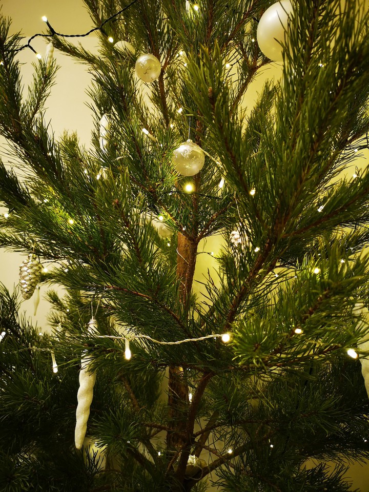 Christmas tree