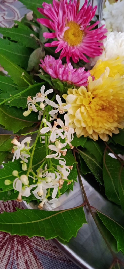 botany, Bouquet wallpapers