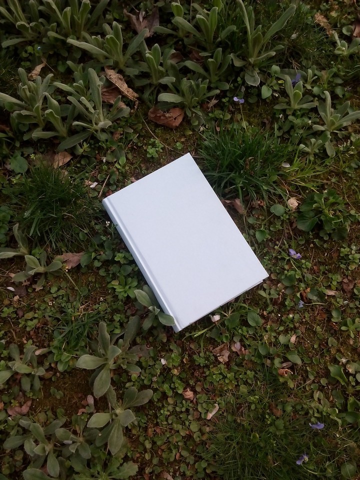 The Light Blue Book