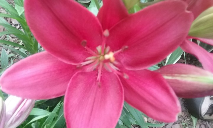 Magical beauty!