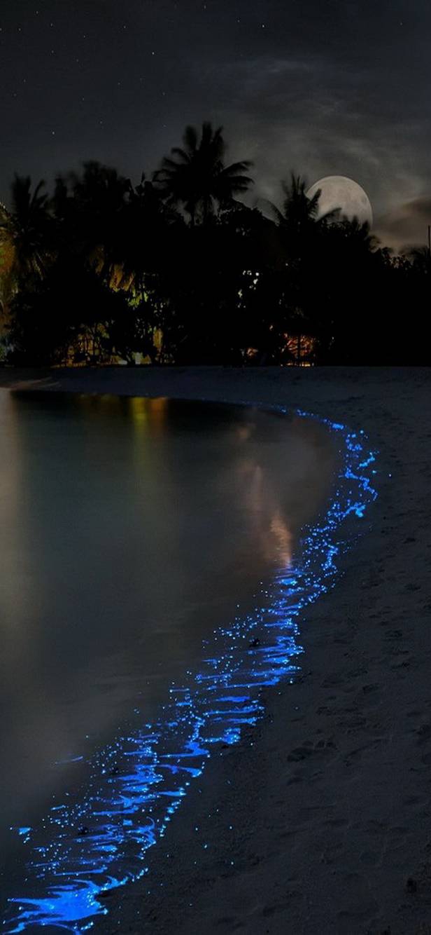 Beach site