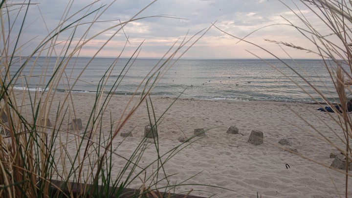 seashore