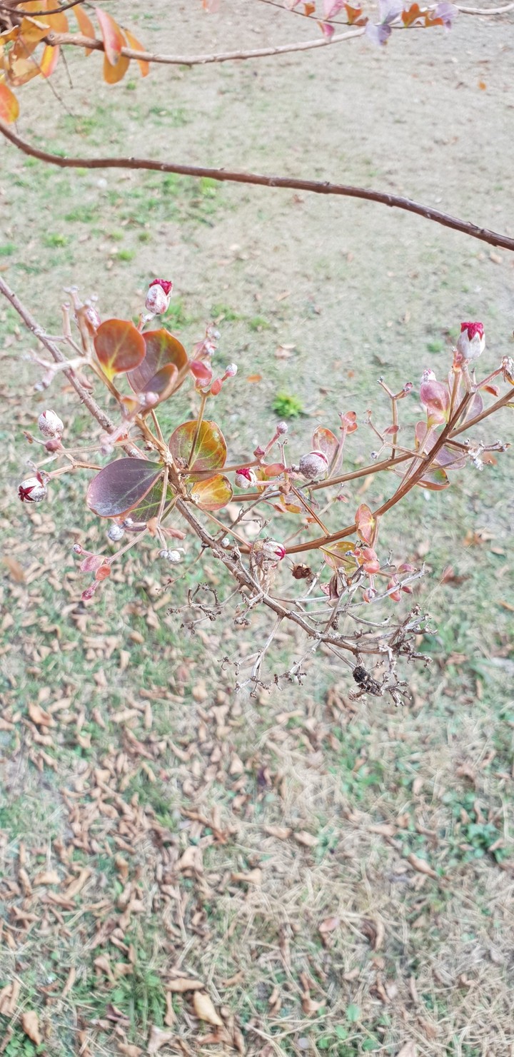 가을
