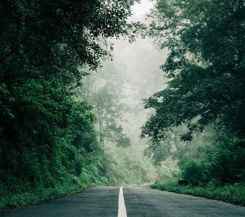alone ?