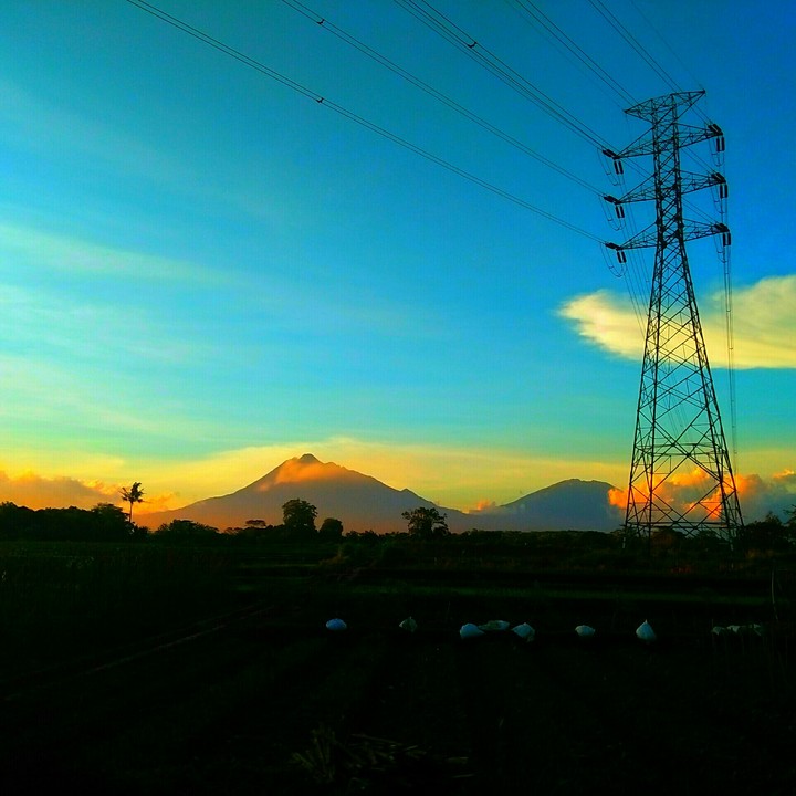 Bias Senja