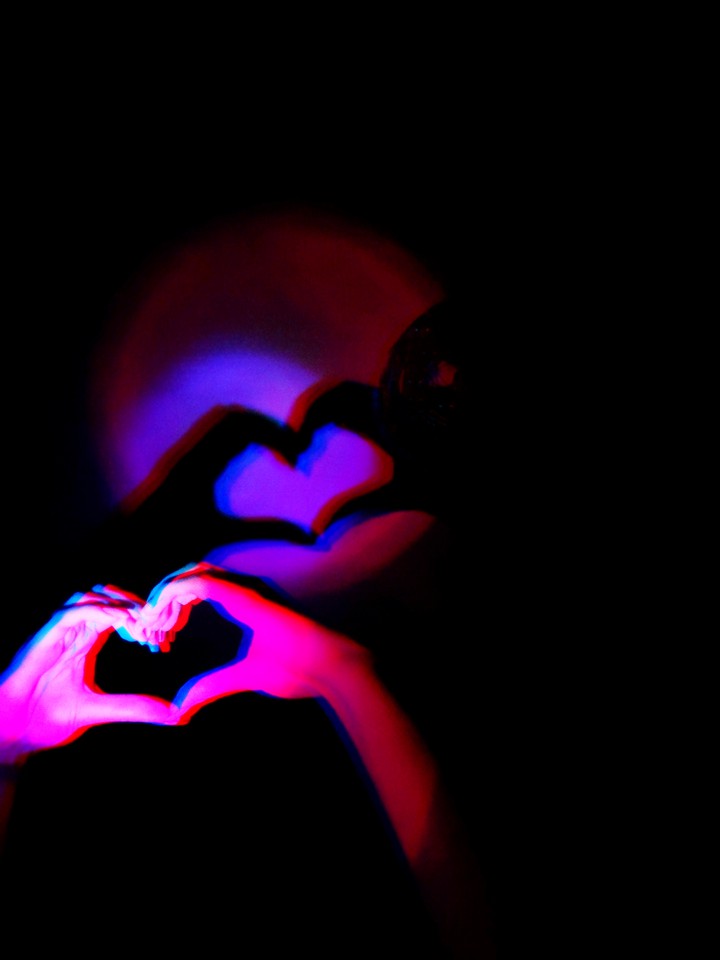 Leon heart