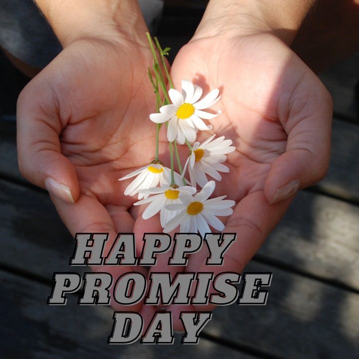promise day spl