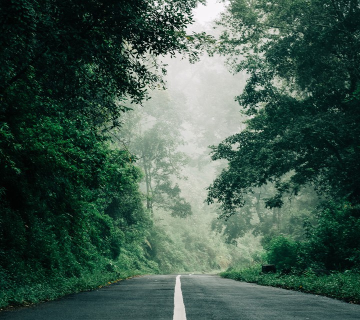alone ?