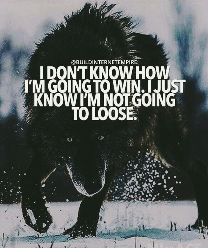motivation