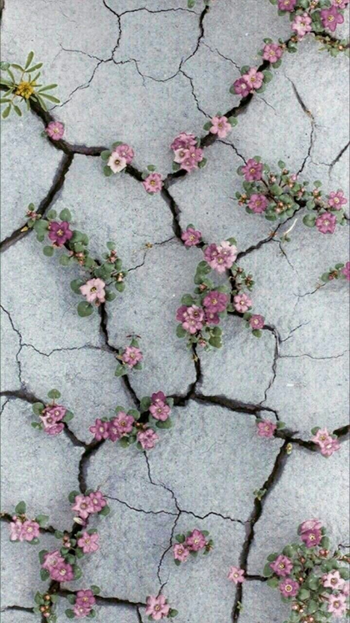 сохраняйте?♥️?