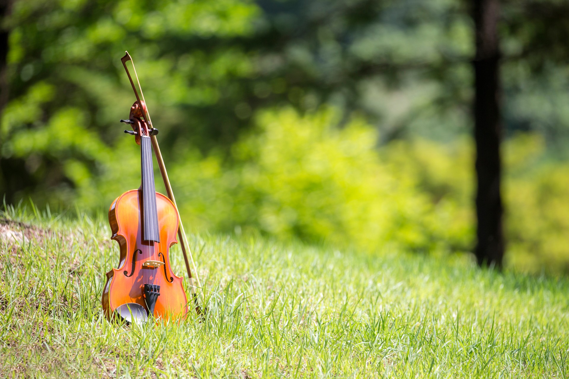 Old violin