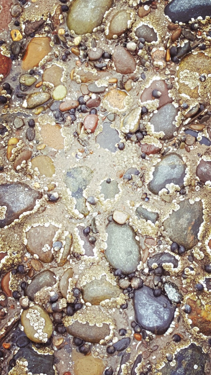 Stones in water
