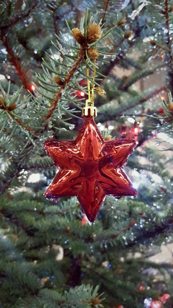 Christmas star