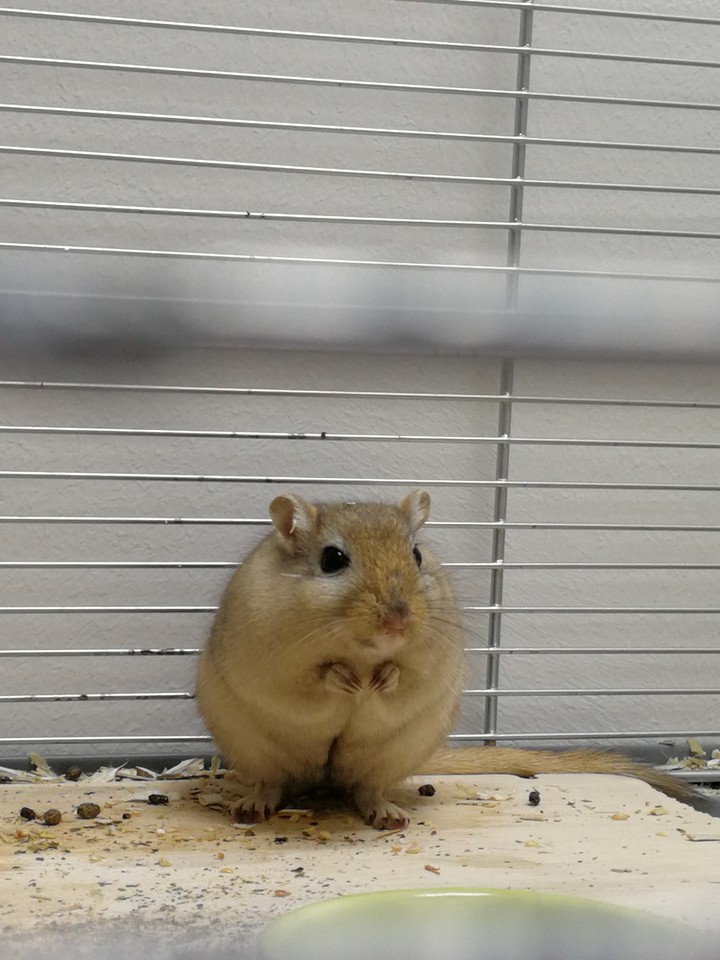 ?