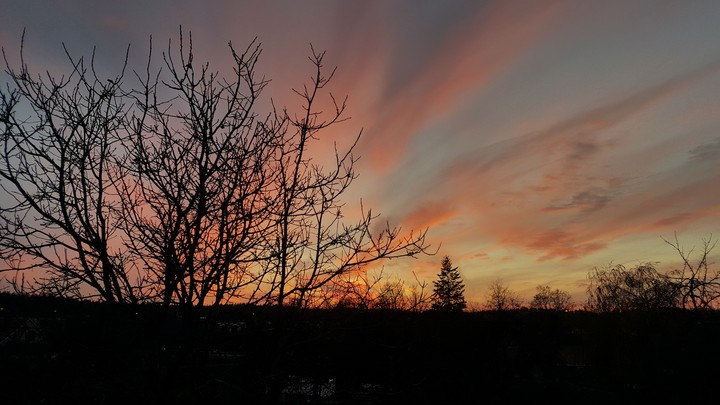 Sunset ♡