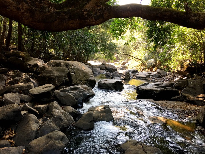 Waterfalls
