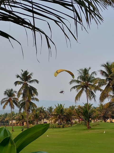 Fly in the sky!