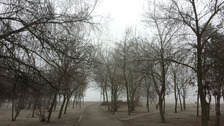 winter