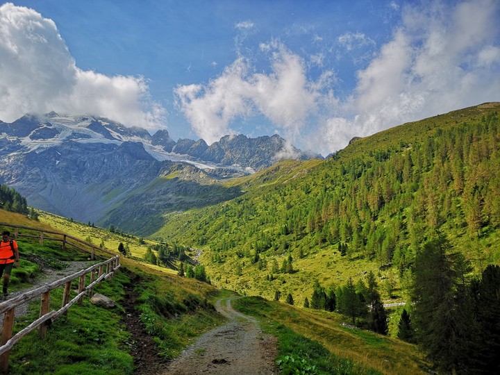 nature