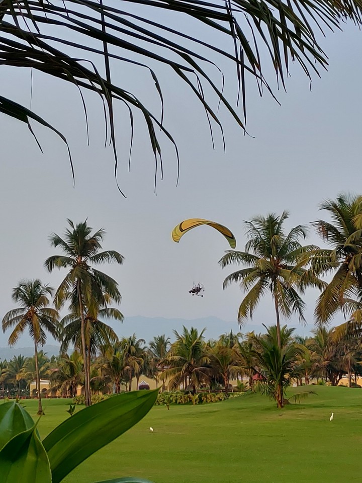 Fly in the sky!