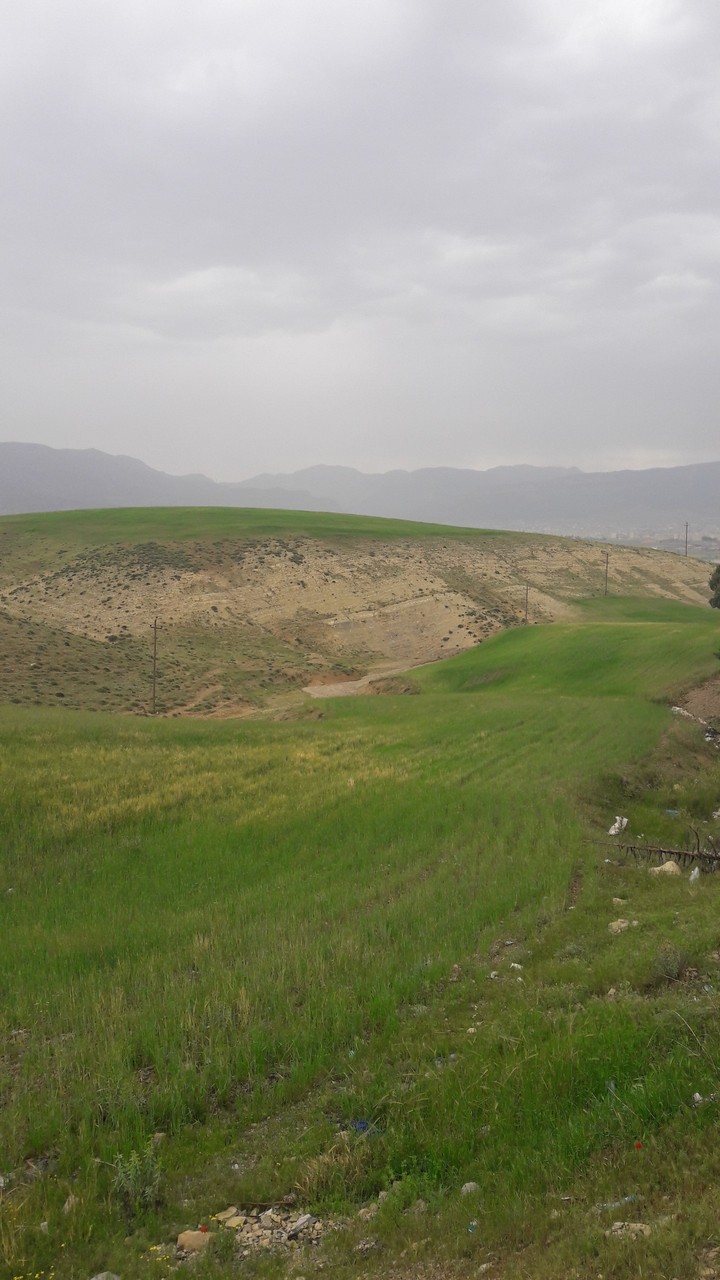 feild iilam iran