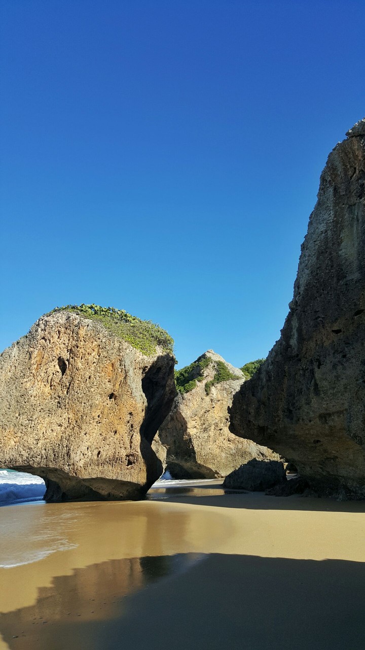 Survival Beach