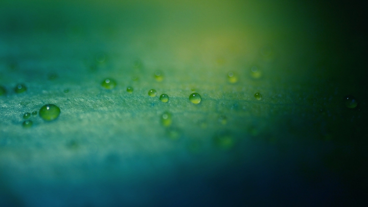 droplets