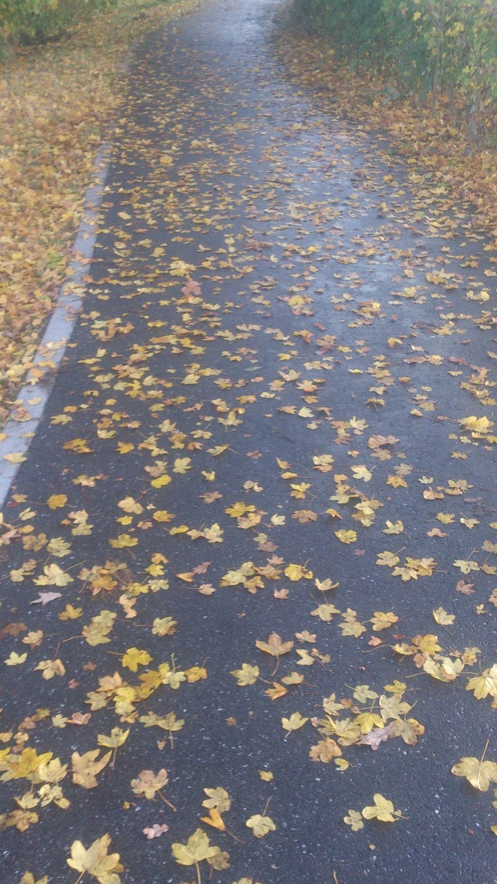 golden path