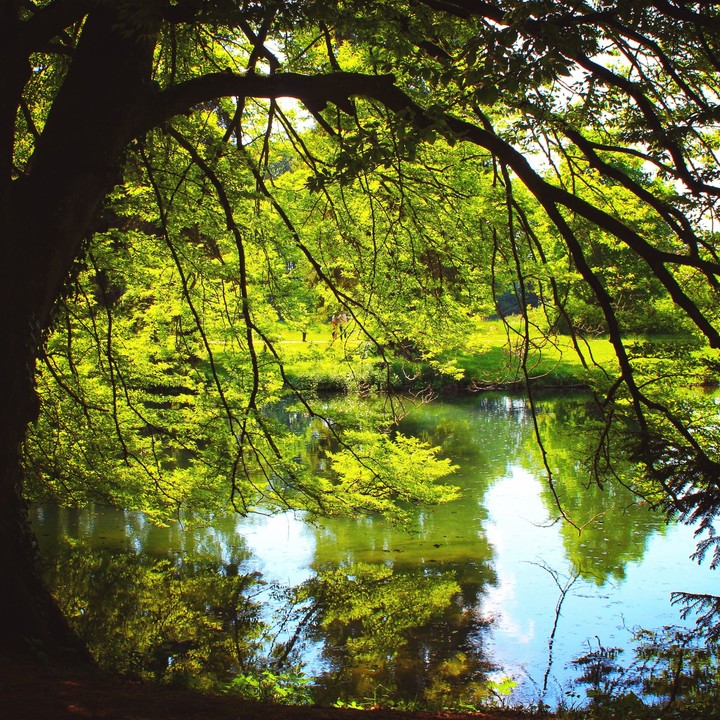 parc