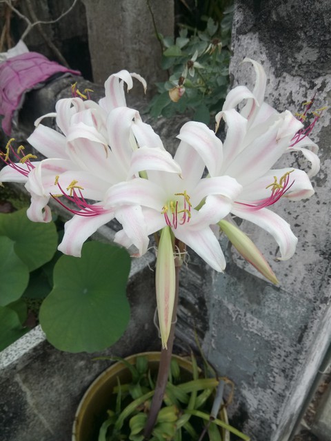 have a good day. ??
