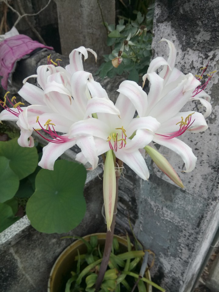 have a good day. ??