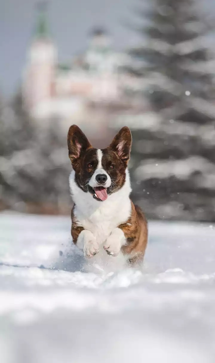 ☺