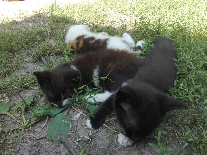 Nap time