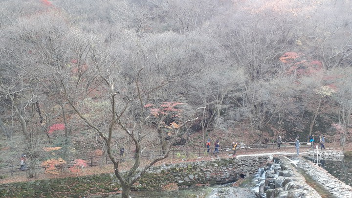 풍경